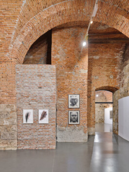Arnulf Rainer »Zeichnen« in der Galerie am Stein, ©Manuel T. Kreuzer